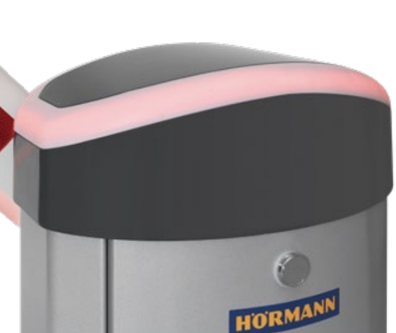 צילום מסך 2025-03-28 ב-14.57.39